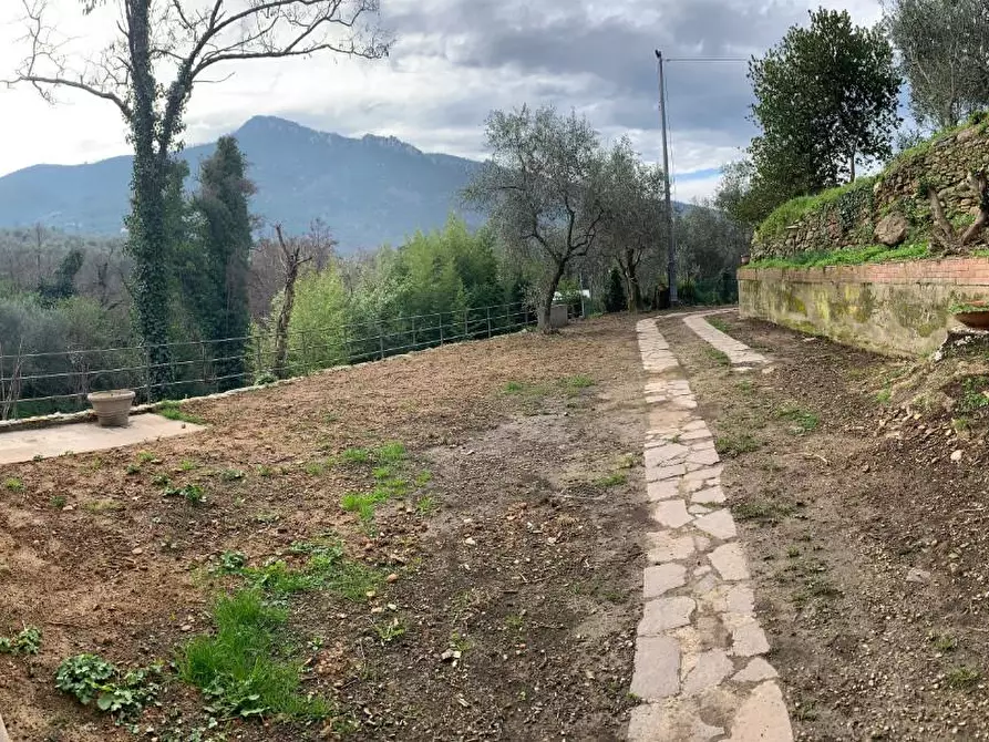 Immagine 15 di Terratetto in vendita  a Calci