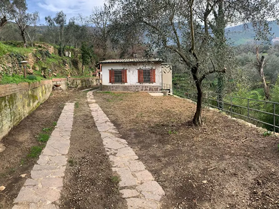 Immagine 17 di Terratetto in vendita  a Calci