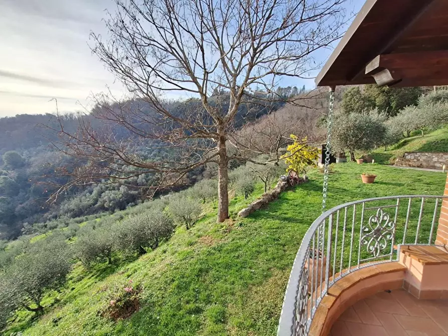 Immagine 72 di Casa colonica in vendita  a Pescaglia