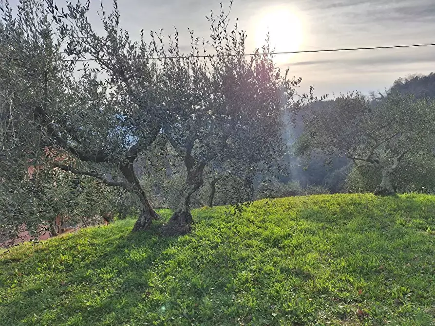 Immagine 33 di Casa colonica in vendita  a Pescaglia