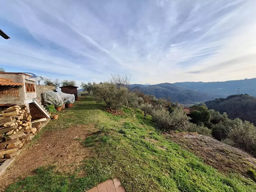 Immagine 43 di Casa colonica in vendita  a Pescaglia