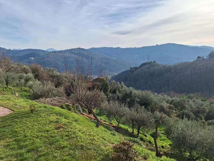 Immagine 71 di Casa colonica in vendita  a Pescaglia