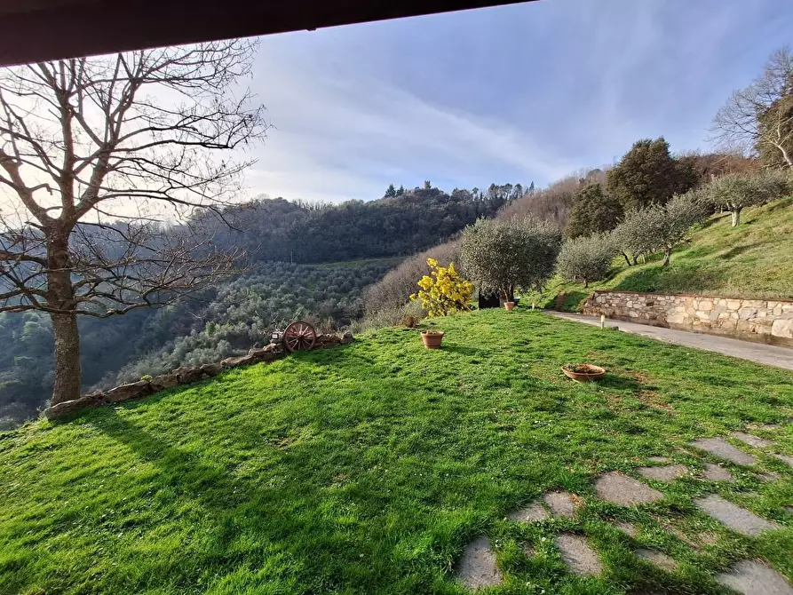 Immagine 70 di Casa colonica in vendita  a Pescaglia