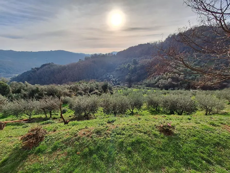Immagine 69 di Casa colonica in vendita  a Pescaglia