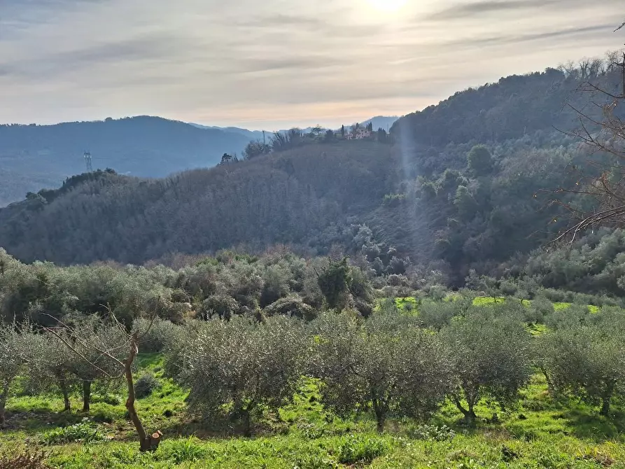 Immagine 75 di Casa colonica in vendita  a Pescaglia