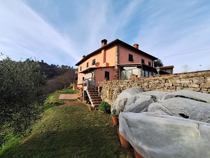 Immagine 40 di Casa colonica in vendita  a Pescaglia