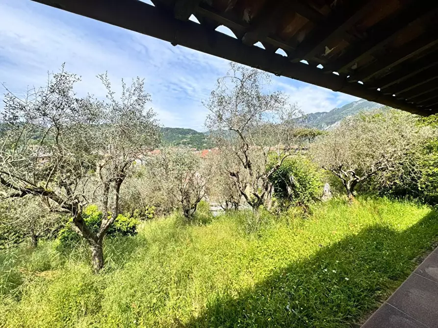 Immagine 28 di Casa bifamiliare in vendita  a Carrara