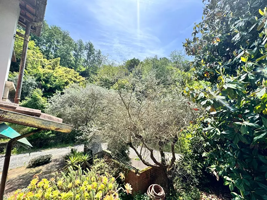 Immagine 27 di Casa bifamiliare in vendita  a Carrara