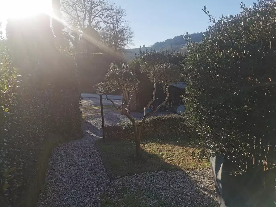 Immagine 9 di Terratetto in vendita  a Montespertoli