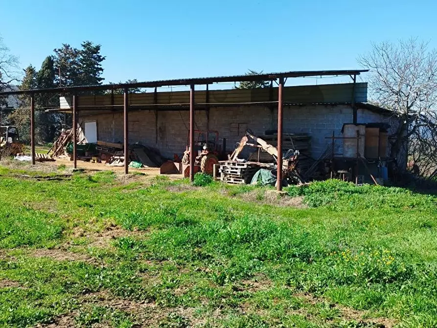 Immagine 11 di Casa indipendente in vendita  a Magliano In Toscana