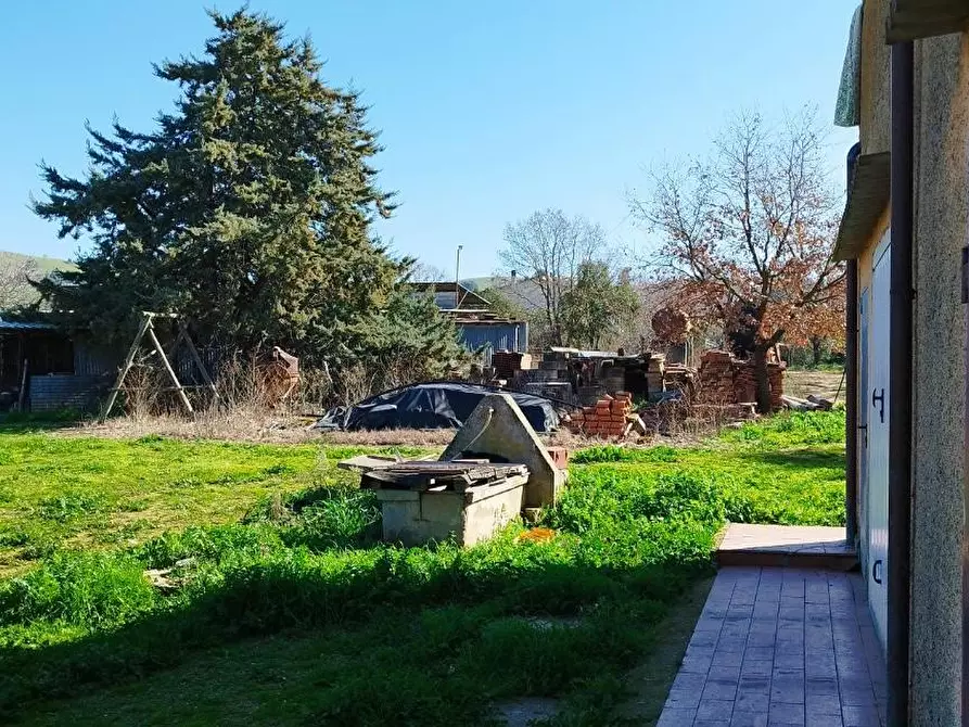 Immagine 18 di Casa indipendente in vendita  a Magliano In Toscana