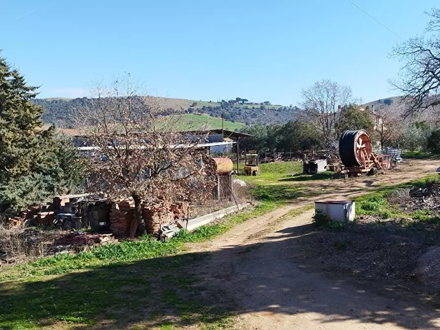 Immagine 19 di Casa indipendente in vendita  a Magliano In Toscana
