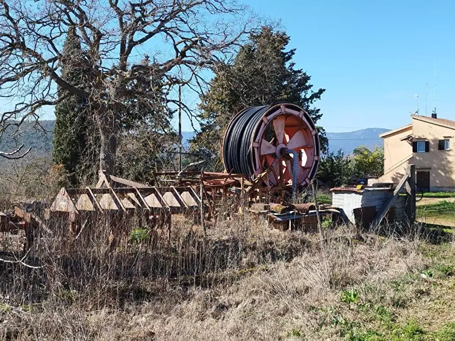 Immagine 13 di Casa indipendente in vendita  a Magliano In Toscana