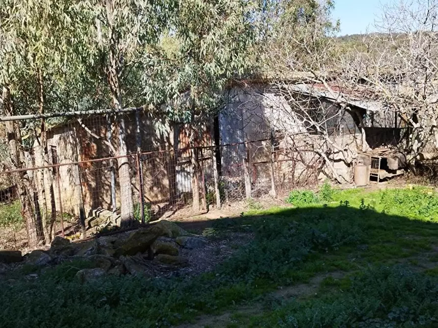 Immagine 16 di Casa indipendente in vendita  a Magliano In Toscana