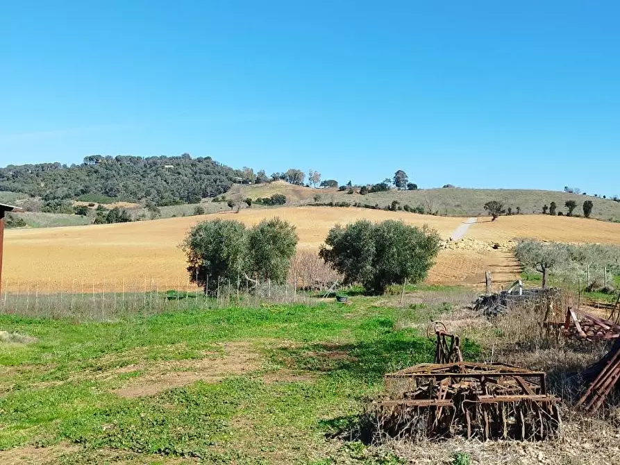 Immagine 6 di Casa indipendente in vendita  a Magliano In Toscana