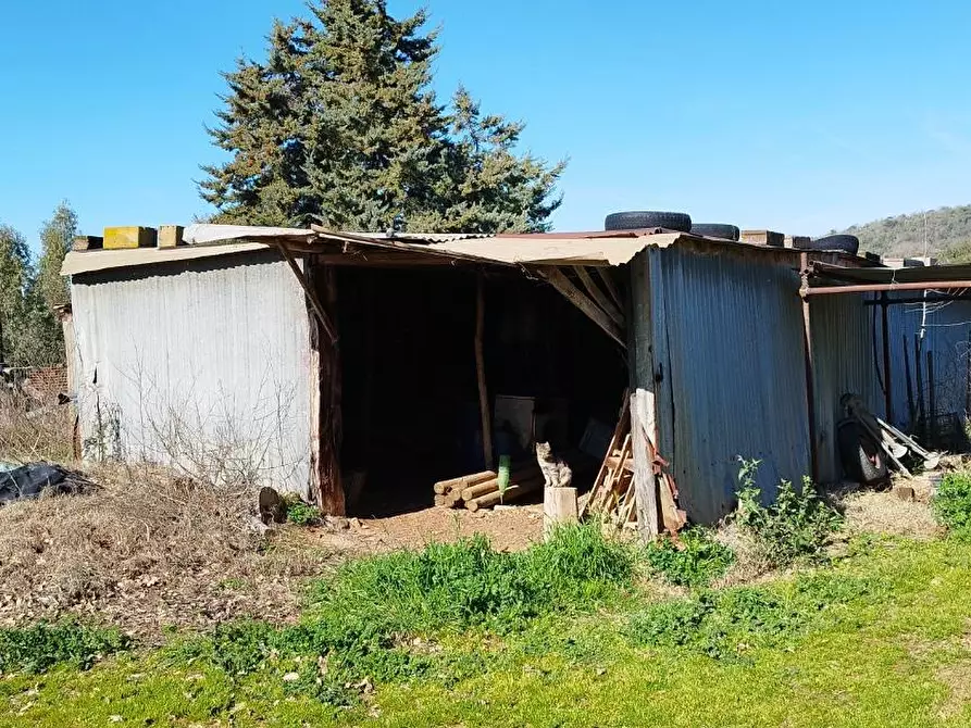 Immagine 14 di Casa indipendente in vendita  a Magliano In Toscana
