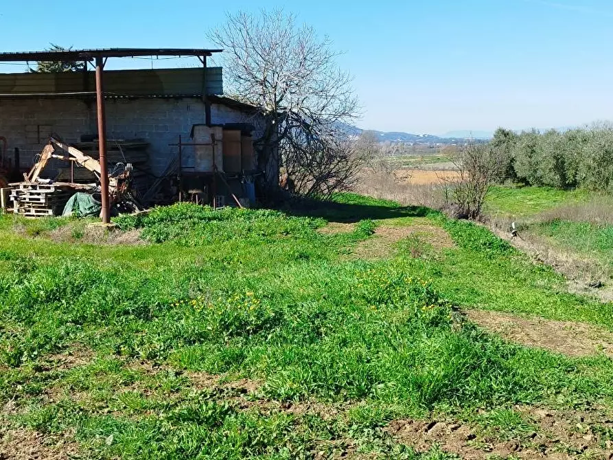 Immagine 10 di Casa indipendente in vendita  a Magliano In Toscana