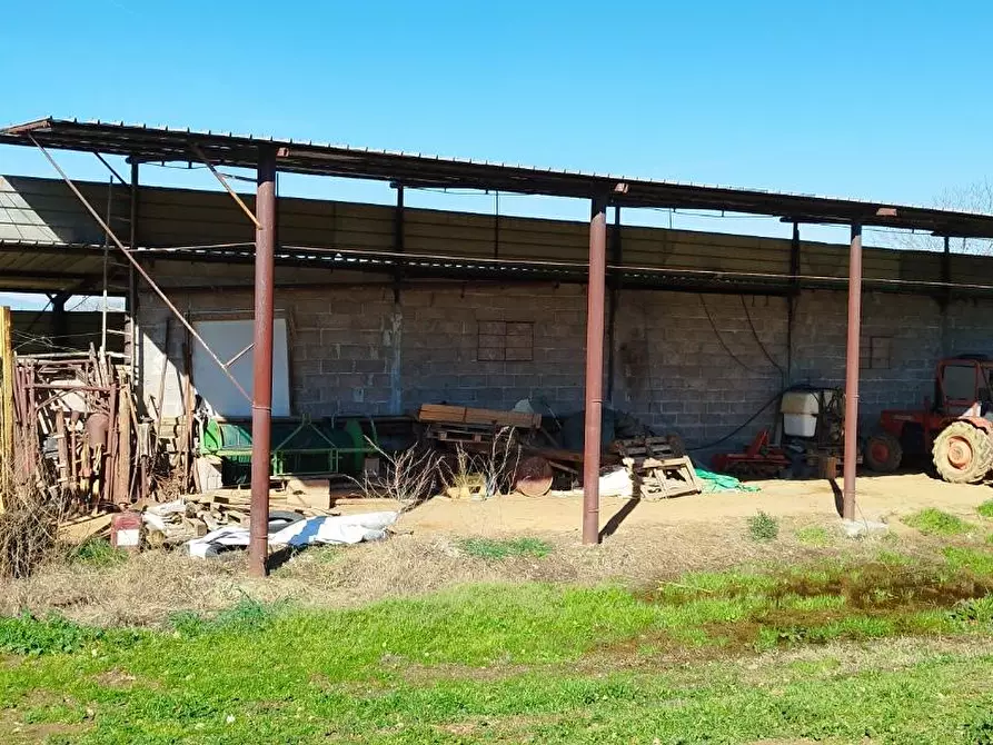 Immagine 7 di Casa indipendente in vendita  a Magliano In Toscana