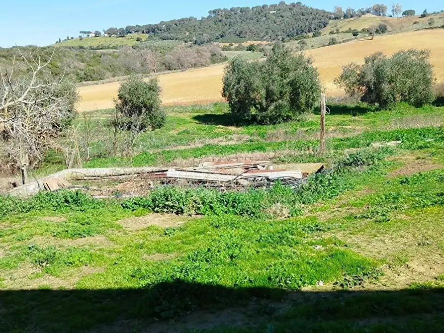 Immagine 17 di Casa indipendente in vendita  a Magliano In Toscana