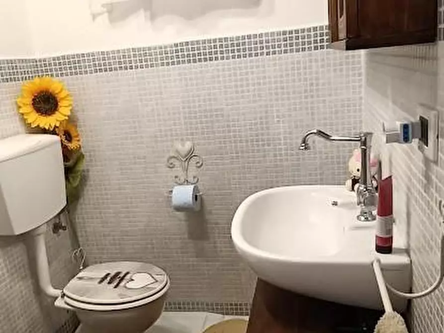 Immagine 6 di Appartamento in vendita  a San Giuliano Terme