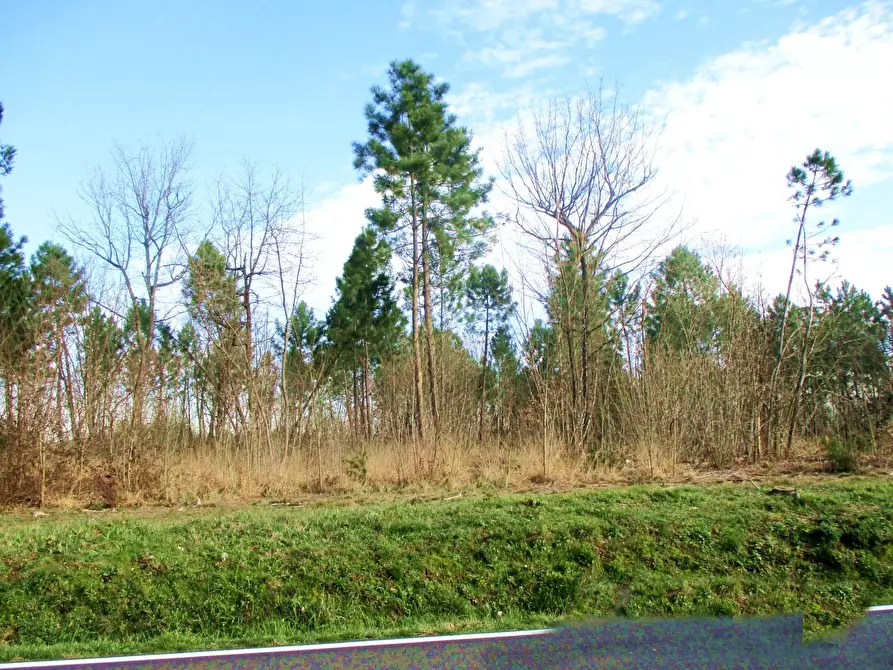 Immagine 8 di Villa in vendita  a Castelfranco Di Sotto