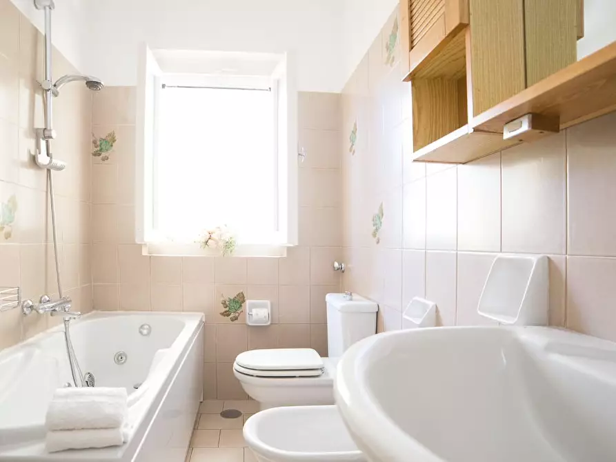 Immagine 10 di Villa in affitto  a Montignoso