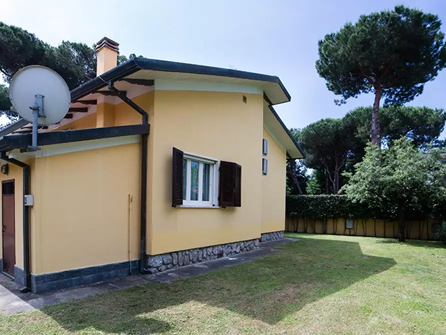 Immagine 3 di Villa in affitto  a Montignoso