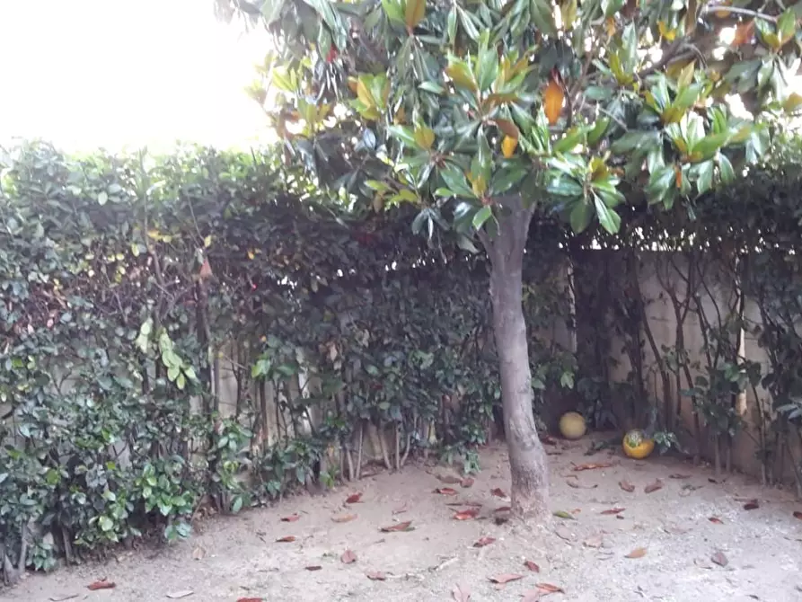 Immagine 9 di Appartamento in vendita  a Carrara