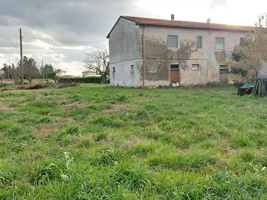 Immagine 4 di Porzione di casa in vendita  a Crespina Lorenzana