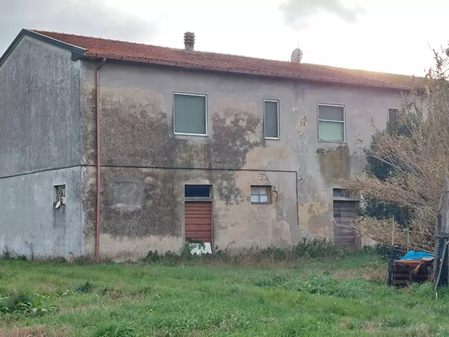 Immagine 3 di Porzione di casa in vendita  a Crespina Lorenzana