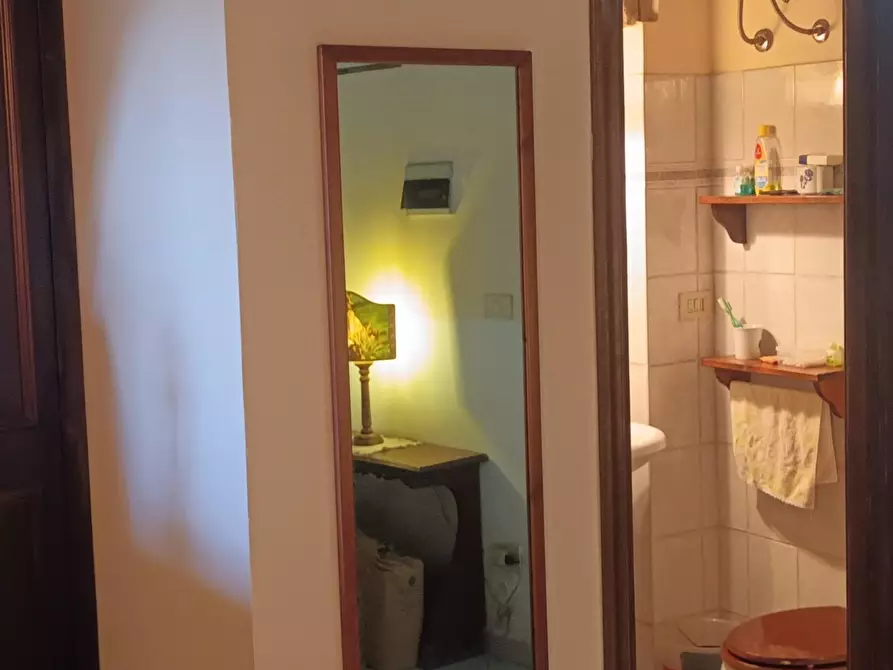 Immagine 5 di Loft/Open space in vendita  a Fauglia