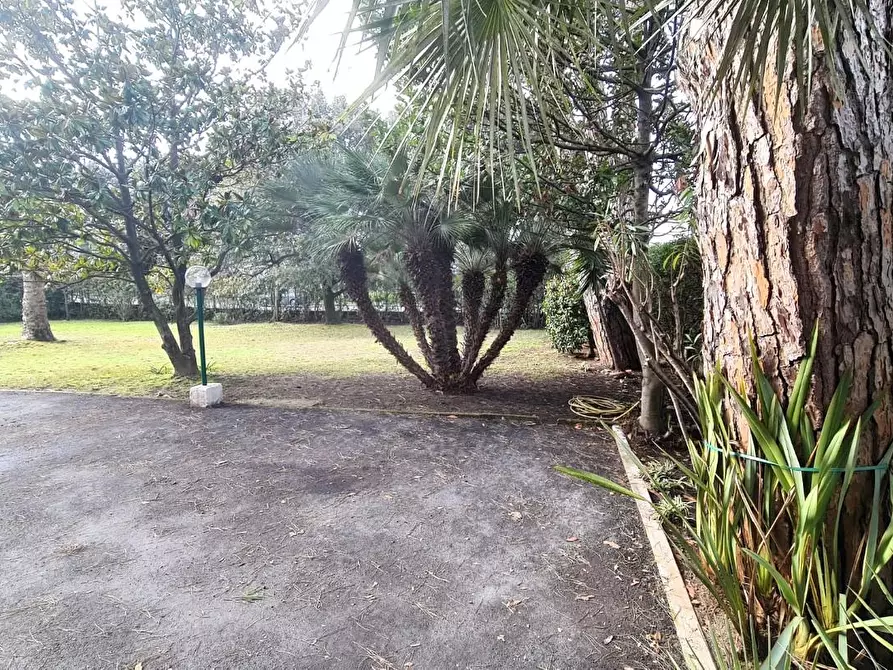 Immagine 12 di Appartamento in vendita  a Camaiore