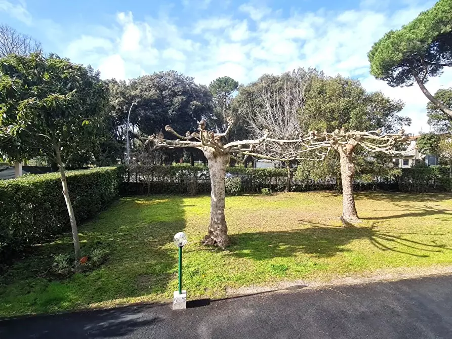 Immagine 15 di Appartamento in vendita  a Camaiore