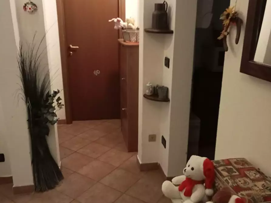 Immagine 2 di Appartamento in vendita  a Livorno