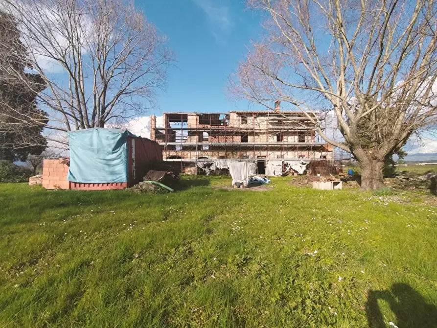 Immagine 6 di Casa colonica in vendita  a Capannori