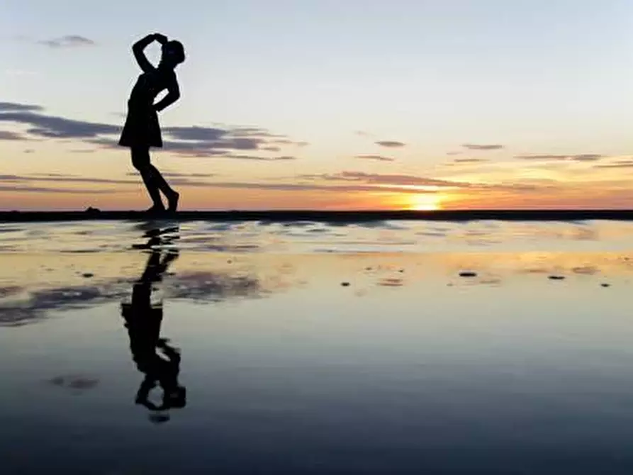 Immagine 8 di Villa in vendita  a Forte Dei Marmi