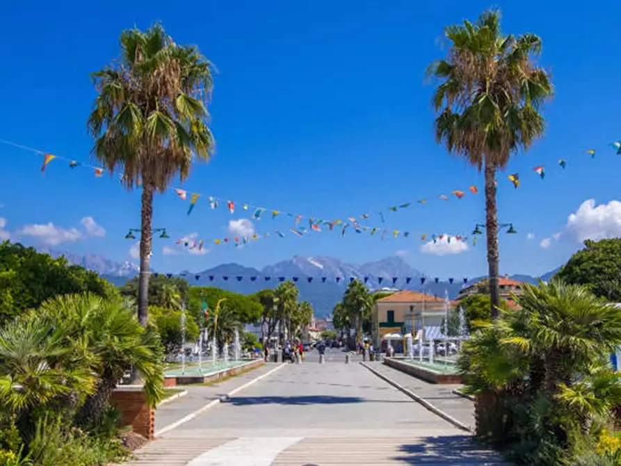 Immagine 18 di Villa in vendita  a Forte Dei Marmi