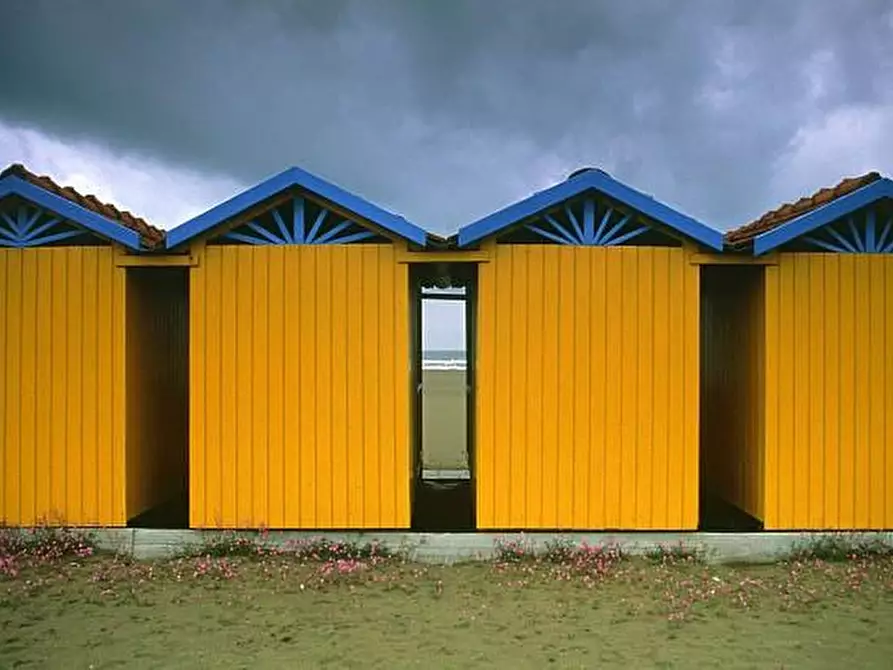 Immagine 6 di Villa in vendita  a Forte Dei Marmi