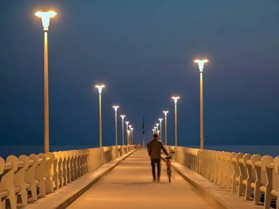 Immagine 13 di Villa in vendita  a Forte Dei Marmi