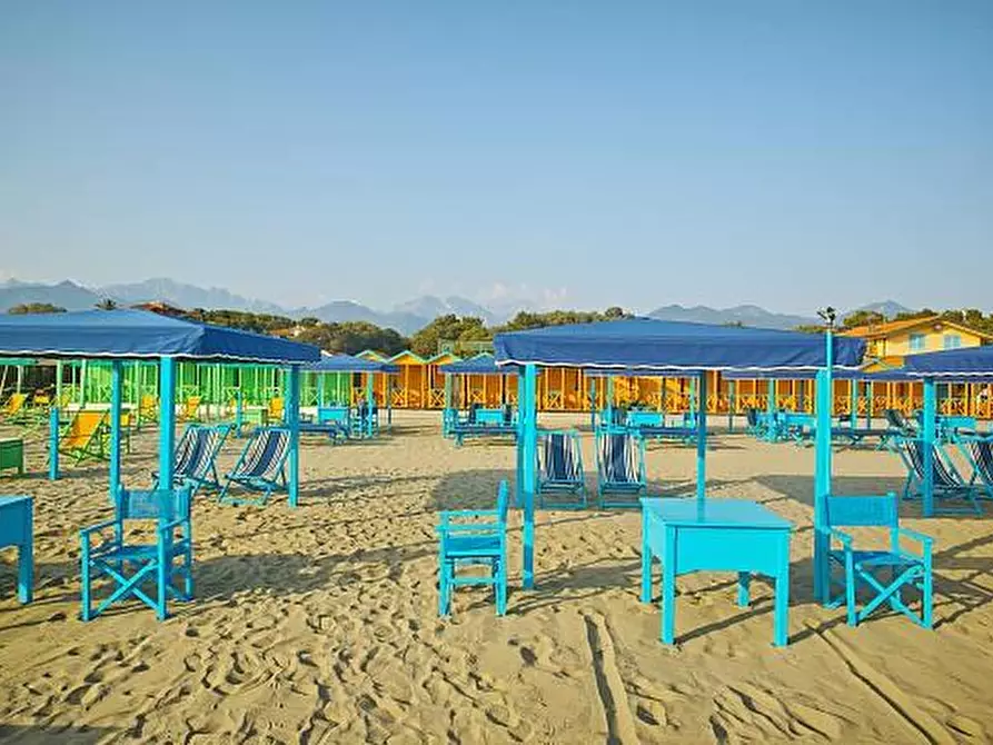 Immagine 7 di Villa in vendita  a Forte Dei Marmi