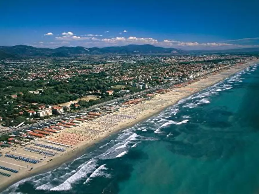 Immagine 10 di Villa in vendita  a Forte Dei Marmi