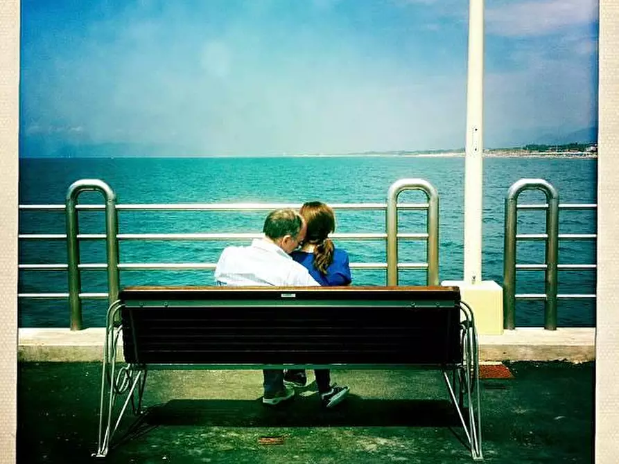 Immagine 3 di Villa in vendita  a Forte Dei Marmi