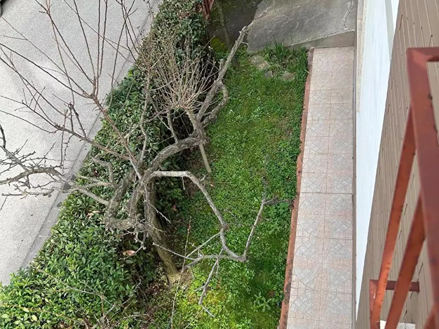 Immagine 7 di Terratetto in vendita  a Empoli