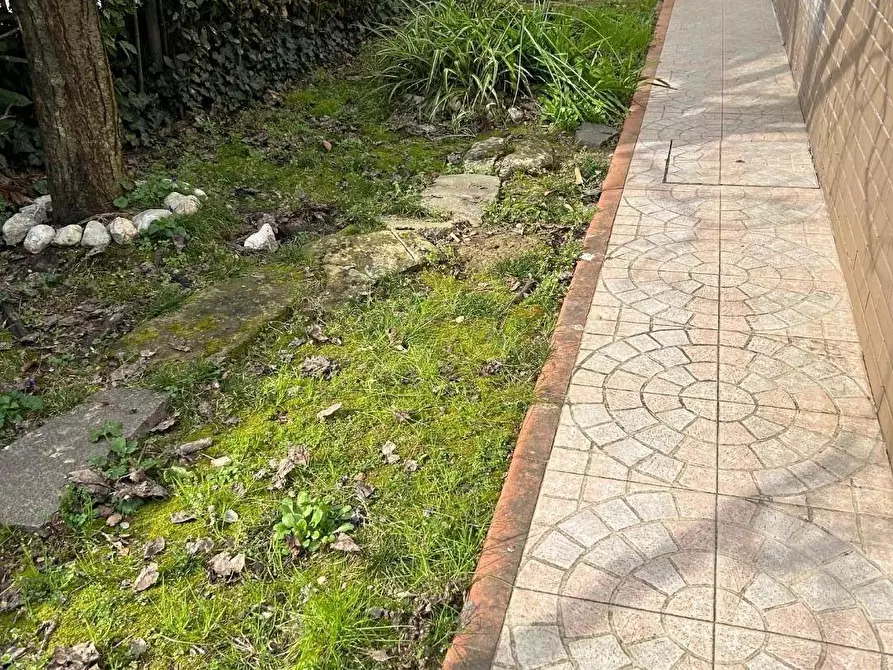 Immagine 24 di Terratetto in vendita  a Empoli