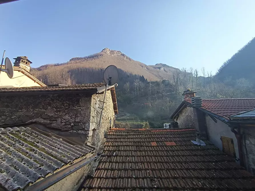 Immagine 7 di Terratetto in vendita  a Fabbriche Di Vergemoli