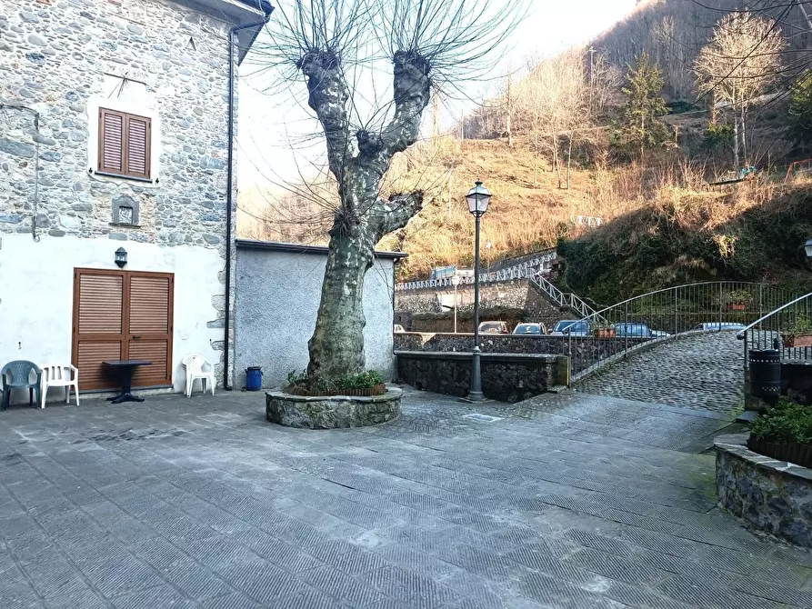 Immagine 3 di Terratetto in vendita  a Fabbriche Di Vergemoli