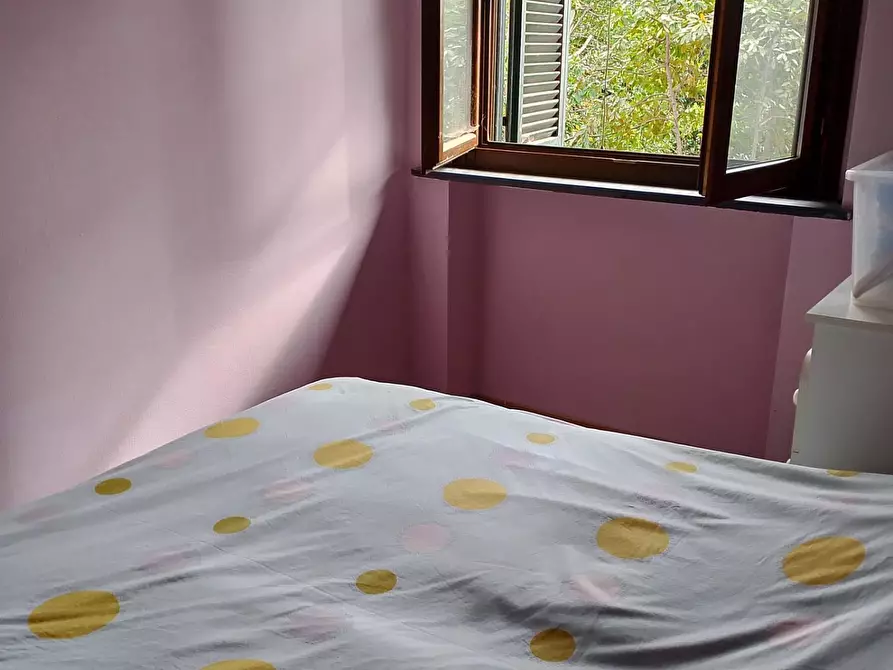 Immagine 14 di Appartamento in affitto  a Rosignano Marittimo