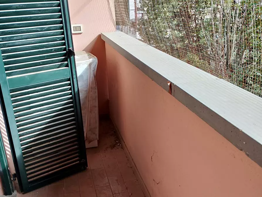 Immagine 25 di Appartamento in affitto  a Rosignano Marittimo