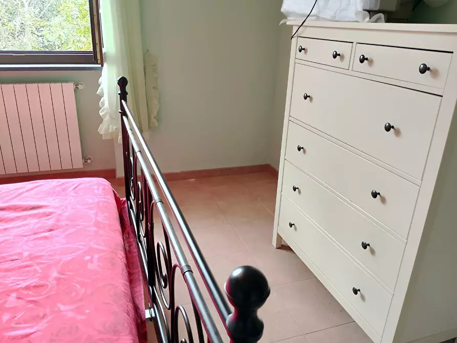 Immagine 12 di Appartamento in affitto  a Rosignano Marittimo