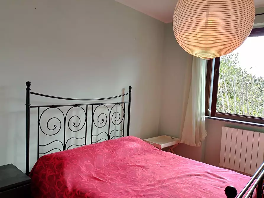 Immagine 11 di Appartamento in affitto  a Rosignano Marittimo